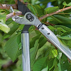 Cortarramas LÖWE 69080 Yunque Profit de 80 cm de longitud y 50 mm de corte