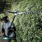 Cortasetos de Altura HTX5300-PA EGO POWER PRO-X de 53cm