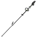 Cortasetos de Altura HTX5300-PA EGO POWER PRO-X de 53cm