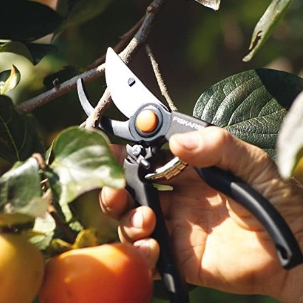 Tijera Tradicional Fiskars P90
