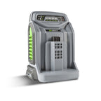 Cargador Rápido CH5500E EGO POWER