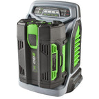 Cargador Rápido CH5500E EGO POWER