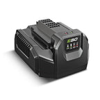 Cargador Estándar CH2100E EGO POWER