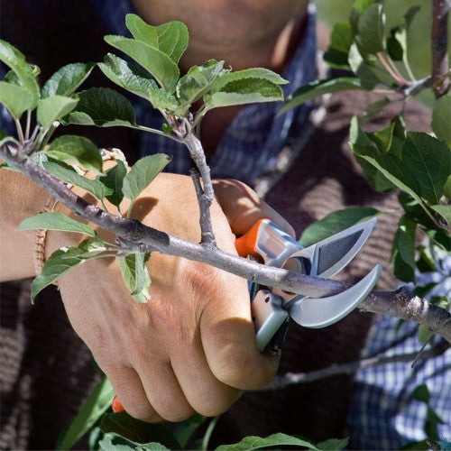 STOCKER Tijera de Podar Profi de Yunque 21 cm