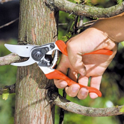 STOCKER Tijera de Podar ByPass 22 cm