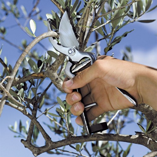 STOCKER Tijera de Poda con Corte Pasante 23 cm
