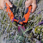 STOCKER Recortasetos Hobby 55 cm
