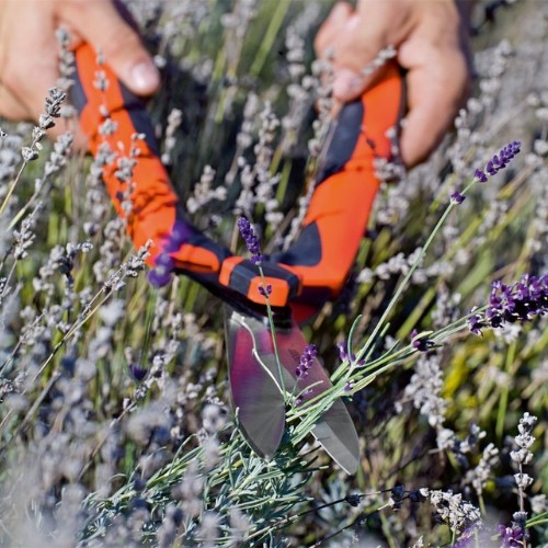 STOCKER Recortasetos Hobby 55 cm