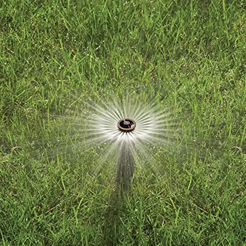 RAIN BIRD 12 HE-VAN Bocal Ajustável para Aspersores
