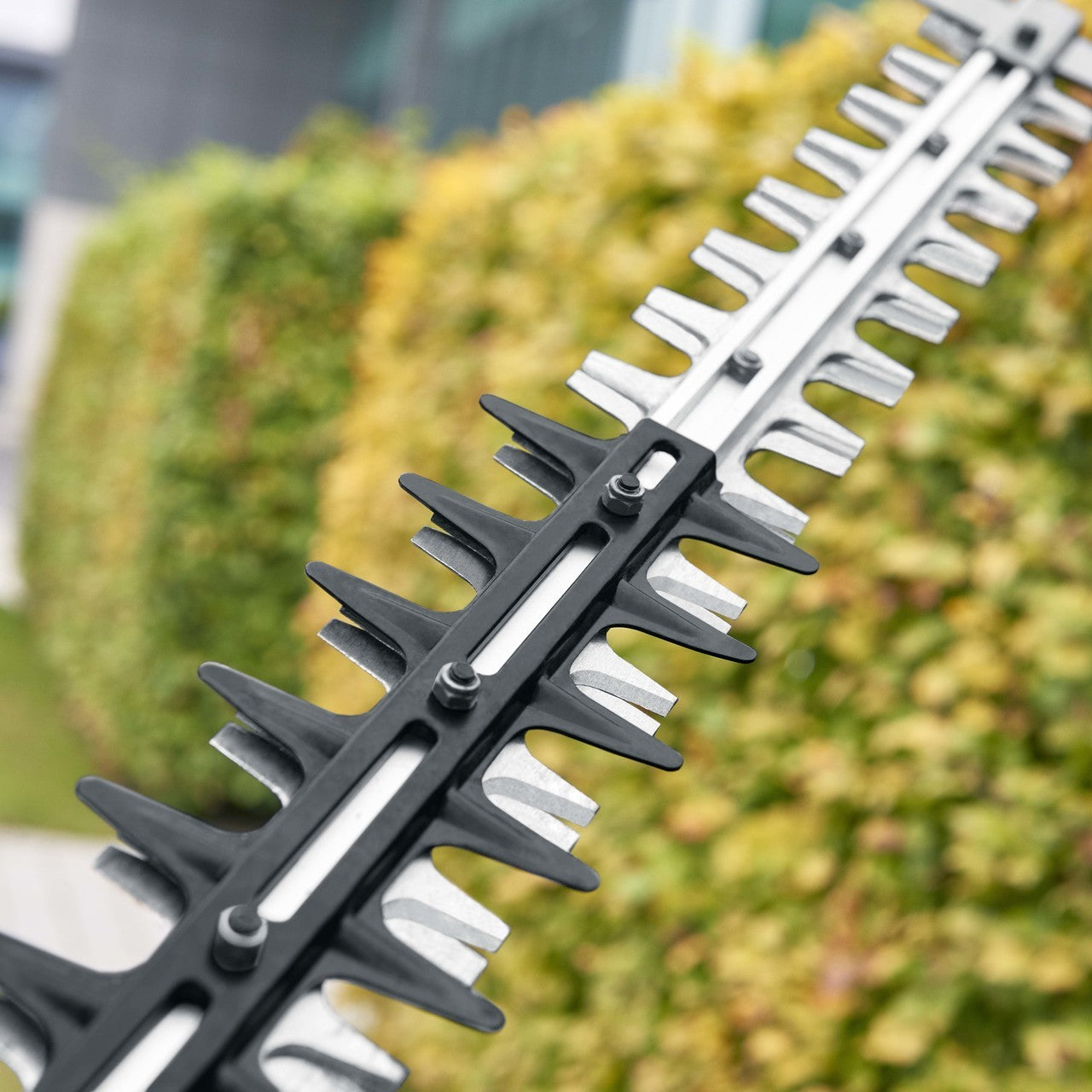Cortasetos a Batería EGO POWER 65 cm Gama Profesional X -Sin Batería-