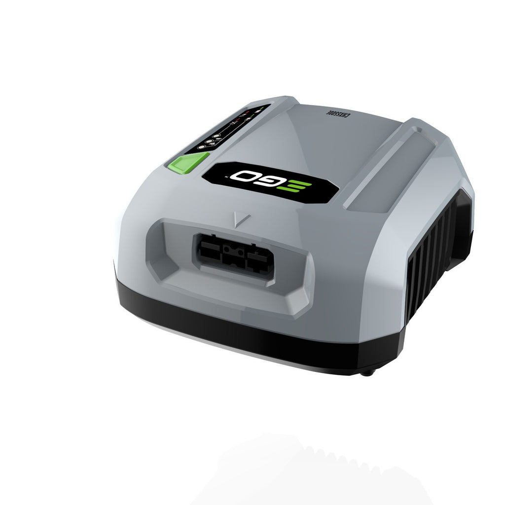 Cargador Professional-X CHX5500E Ego Power