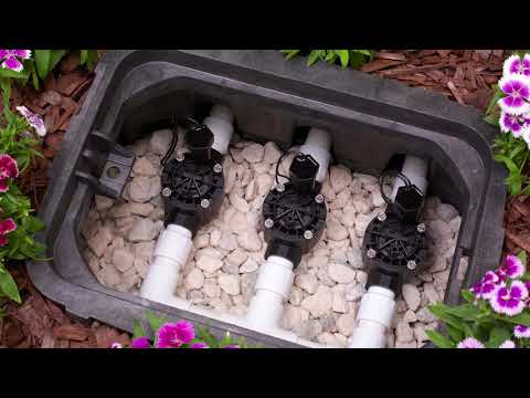RAIN BIRD 100-HV 24V Válvula Solenoide de Rega Rosca Fêmea 1"
